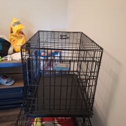 Dog Kennel