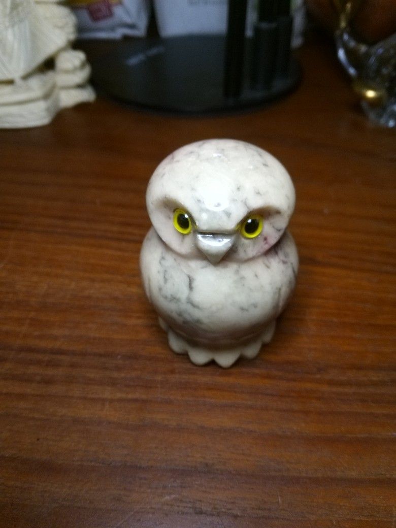 Small Owl