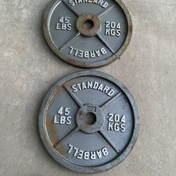 45lb Olympic Weight Plate Set 