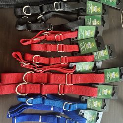 Nylon Martingale Dog Collars
