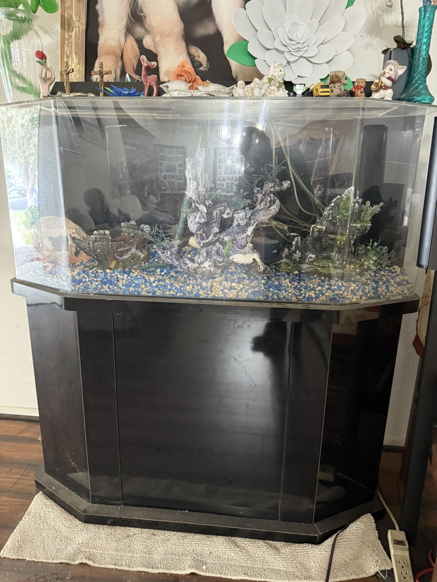 Fish Tank
