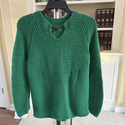 J.Jill Soft Seamed V-Neck Sweater Green Small