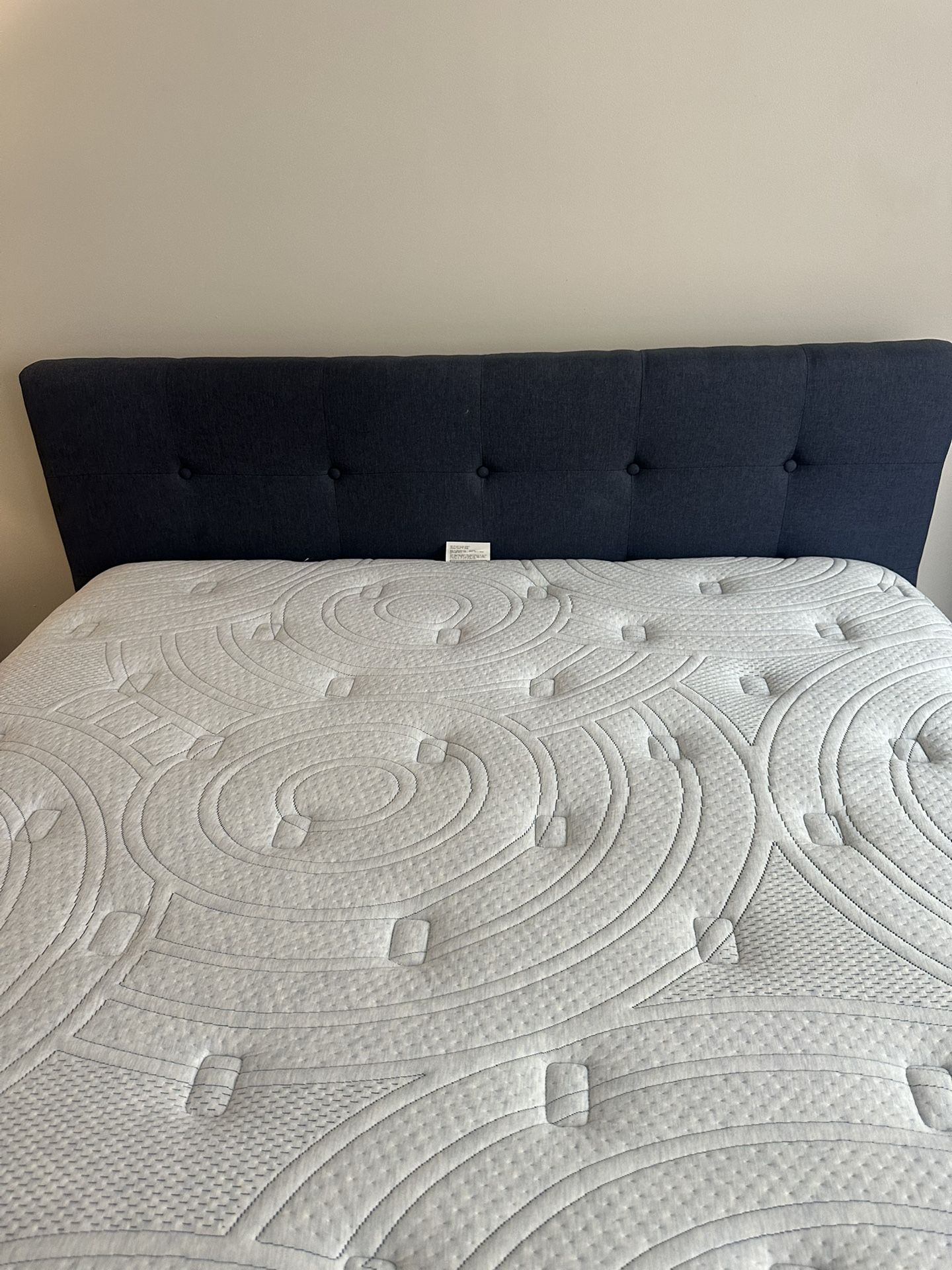Queen Size Bed And Mattress 