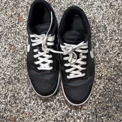 Nike Dunk Size 10