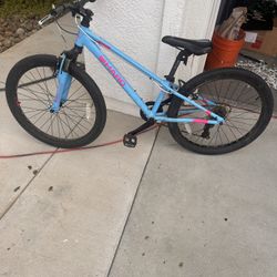 Used Kids Mountain Bike - HARO 24” Blue 