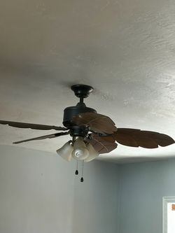 Nice fan