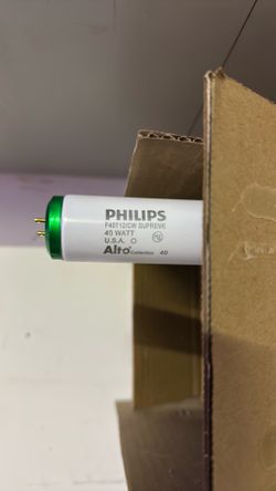 Philips alto light bulb
