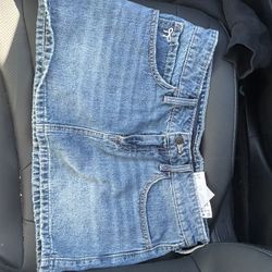 Hollister Hearn Skirt 