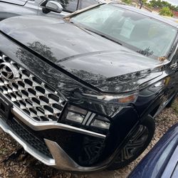 OEM 2021 2022 SANTA FE PART OUT