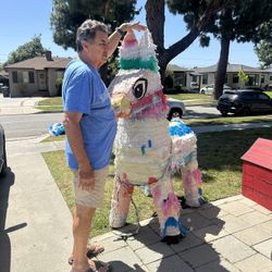 Donkey Pinata/Piñata de burro 6ft Tall
