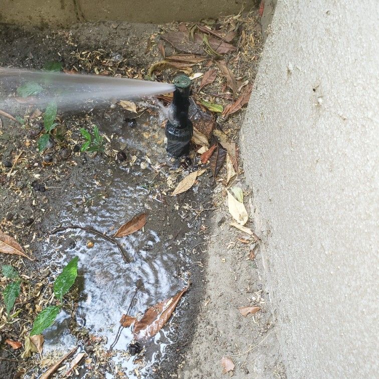 N New Sprinklers Or Valves