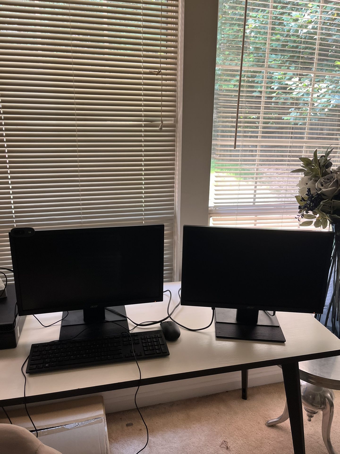 Acer Monitors 60hz