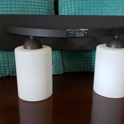 Two Light Fixture 