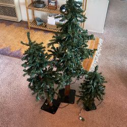 3 Small Xmas Trees
