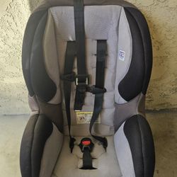 Evenflo Tribute Sport Convetabile Cat Seat