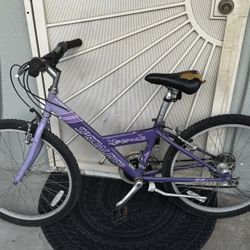 Specialized Hot rock Bike