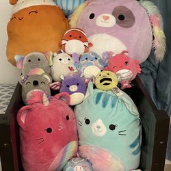 Squishmallows for sale please ask price what u like starting at $3 