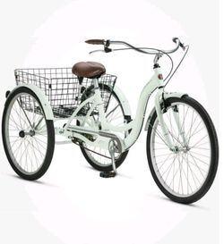 Adult Tricycle with Rear Basket