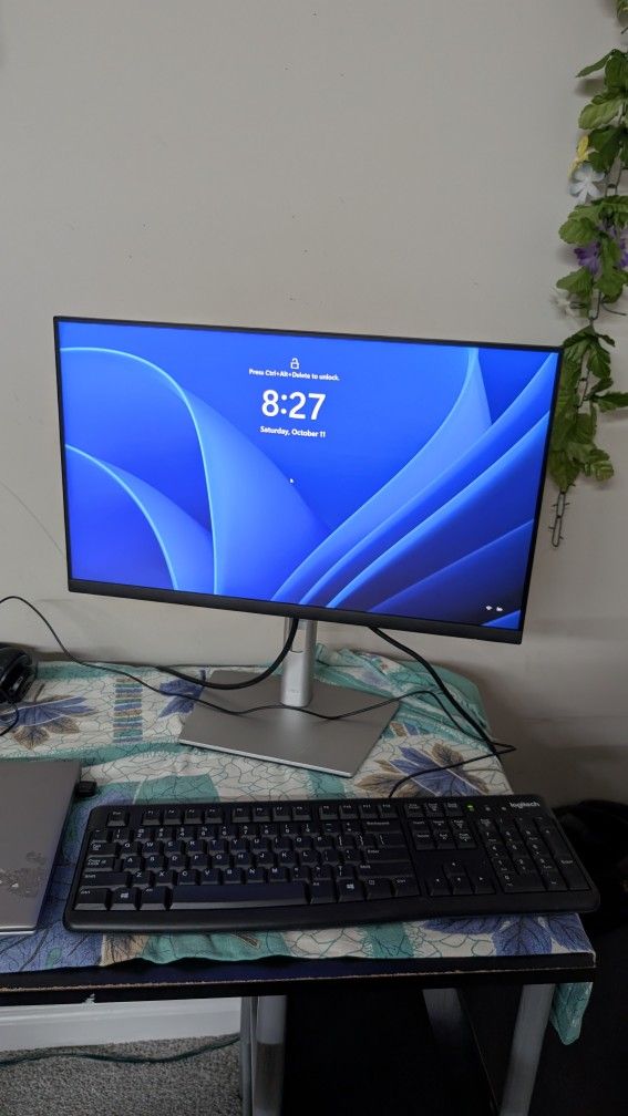 Move Out Sell: Dell P2222H Monitor