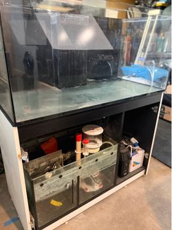 Salt Water Fish Tank System