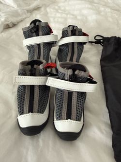 Hunny Boots for Greyhounds