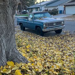 73 Chevy C10 Not Parts 