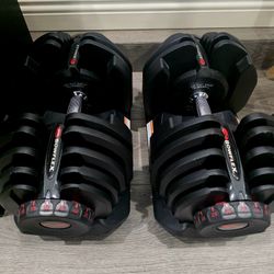 Bowflex 1090 Dumbbells