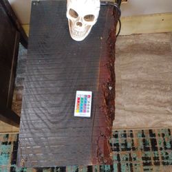 Skull Table Lights Up Hand Made 