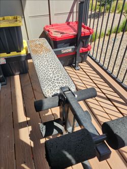 Bench and Olympic bar