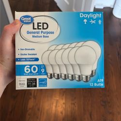 Daylight light bulbs (12pk) (9 boxes)