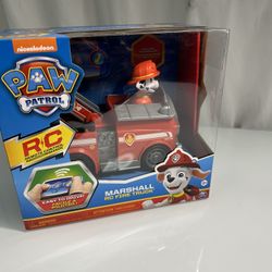 Paw Patrol RC Car