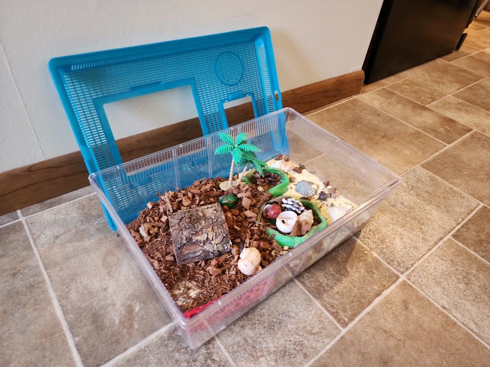 Hermit Crab Aquarium