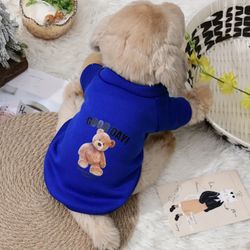 Bear Graphic Dog Hoodie