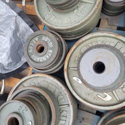 Olympic  Barbell Weight For Gym