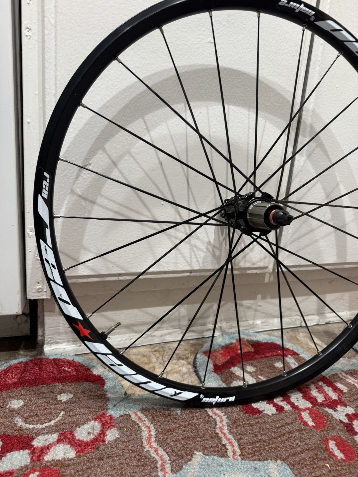 MTB 26” Rear Wheel 9x100 Mm QR