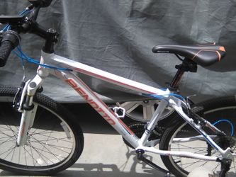 Montain Bike Benotto