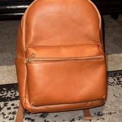 Brown Faux Leather Backpack/Diaper Bag