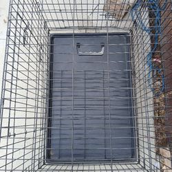Large Foldable Dog Crate