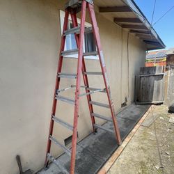 Louisville 8ft ladder 