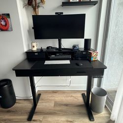 Home Office Electronic Standing Desk (New)