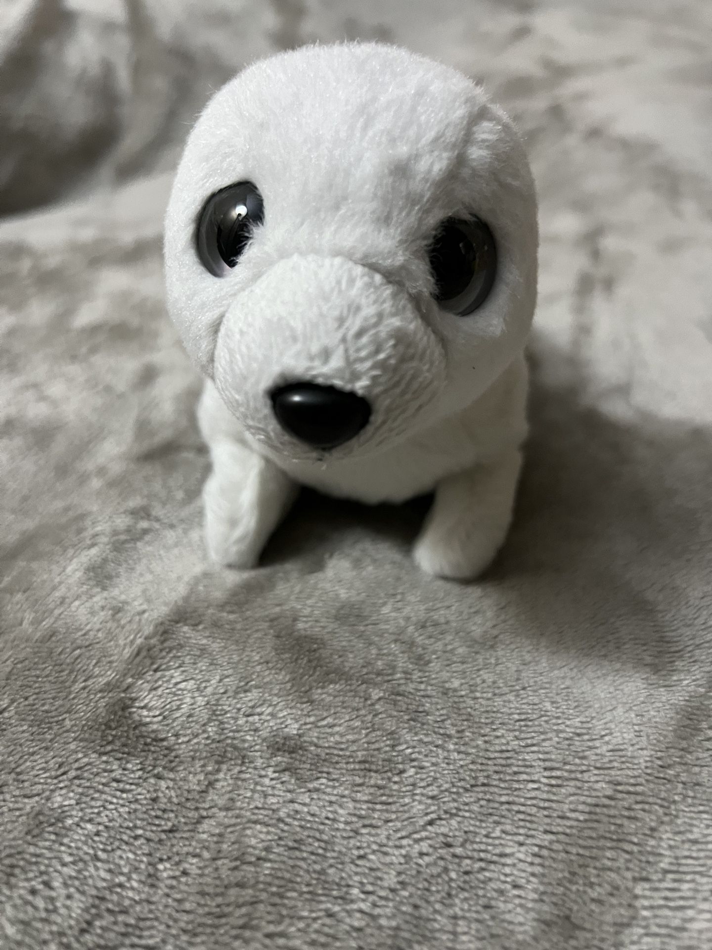 White Seal Plush