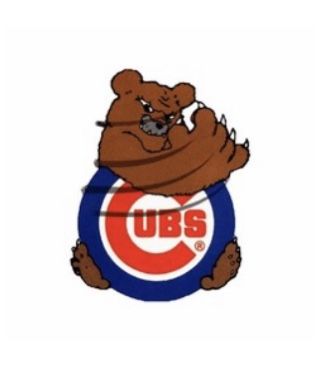 Chicago Cubs Tickets - Section 208 / Row 1 / Seats 3-4