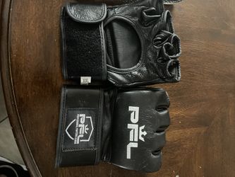 PROFESSIORAL FIGHTERS LEAGUE 