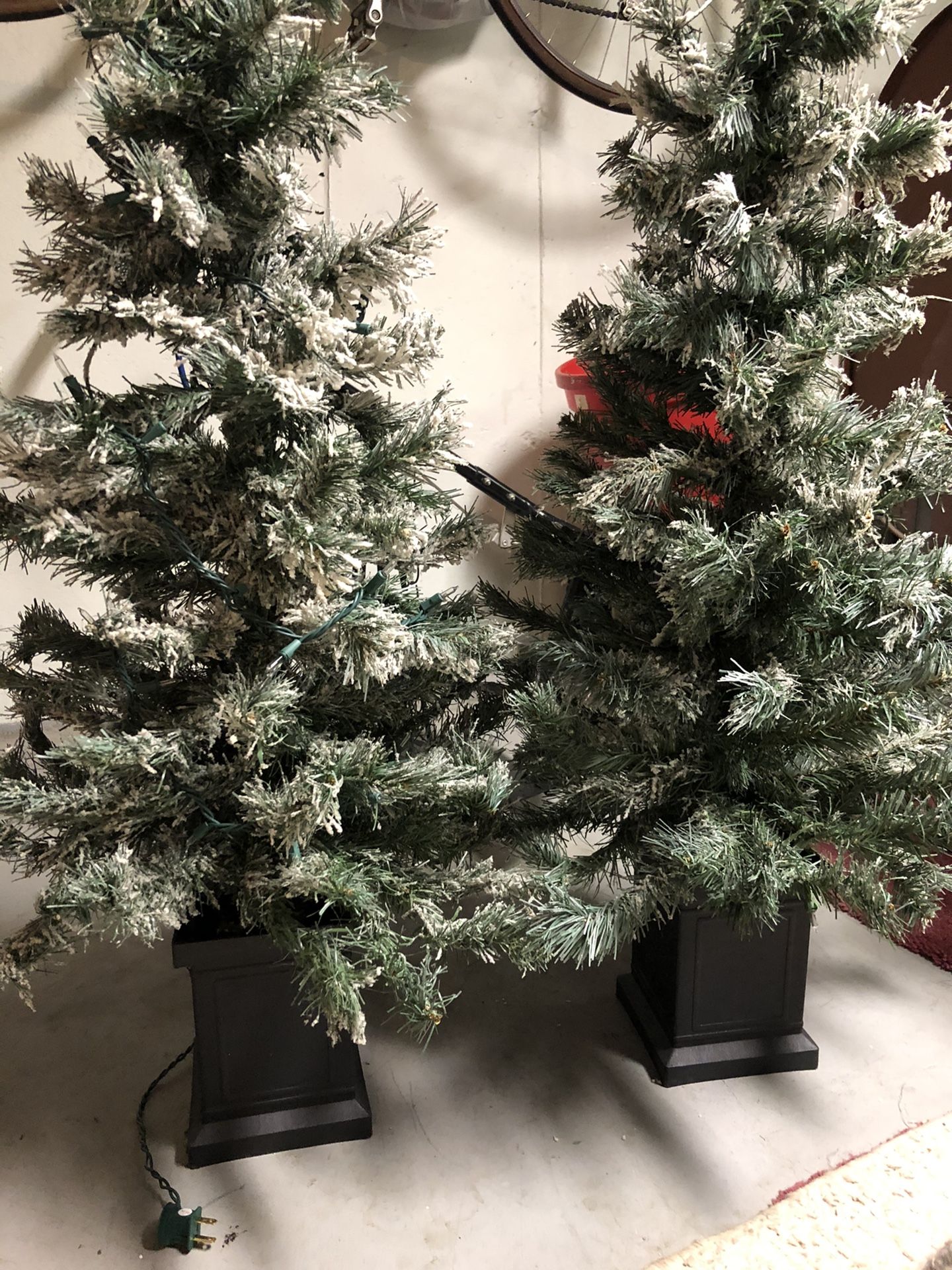 Set of Flocked Christmas Trees