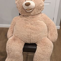 Very Large size Teddy bear For Sale 