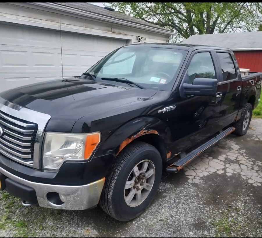 2010 Ford F-150