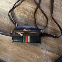 Cute NWOT Crossbody Purse/Fanny bag