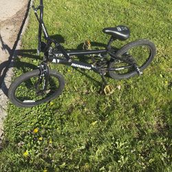 Mongoose bike