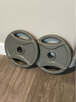 25lb plate set - iron