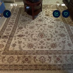 Large Area Rug And Runner